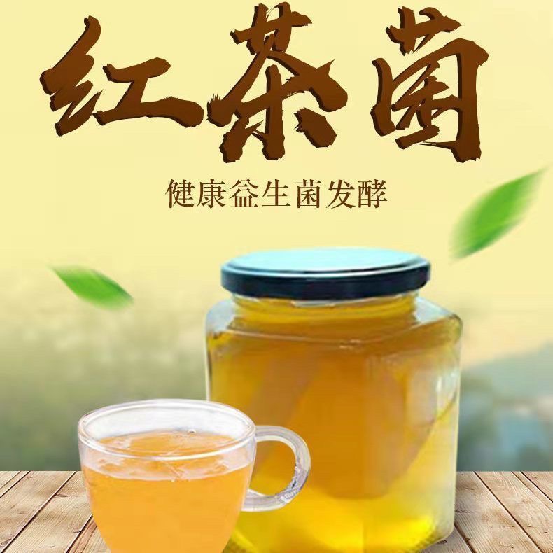 正宗红茶菌菌种传统原瓶老胃宝养胃护胃海宝菌母菌种醋蛾子康普茶 - 图2