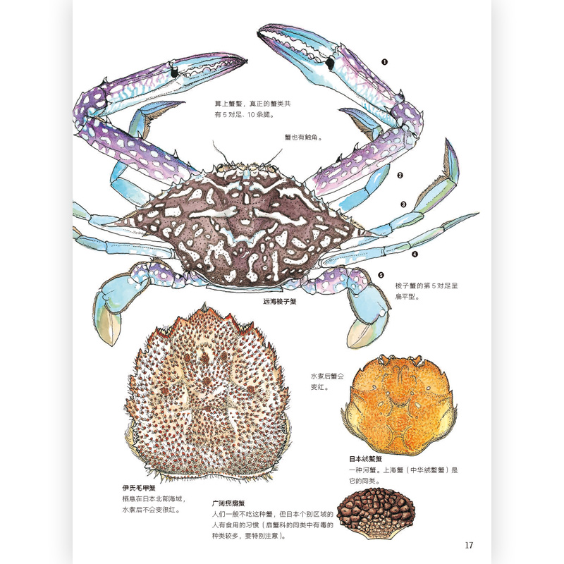 后浪正版现货 餐桌上的生物进化 盛口满的手绘自然图鉴 培养孩子的观察思考能力 科普图鉴书籍