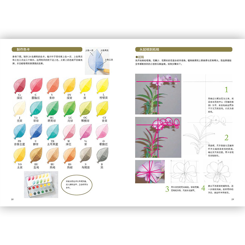后浪正版 简单三步 描绘水彩植物  初学者临摹书籍