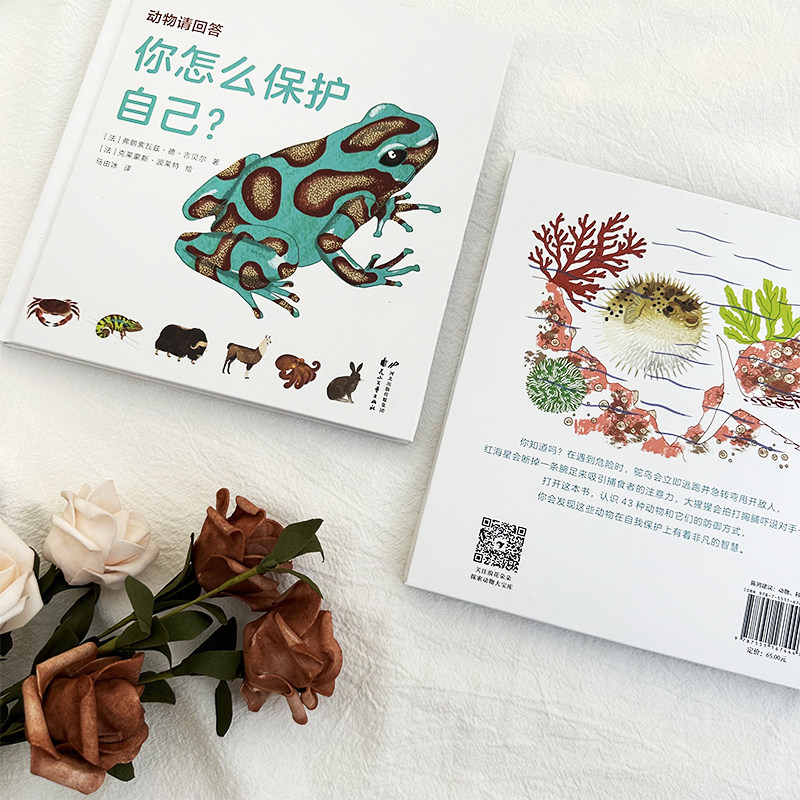 浪花朵朵现货 动物请回答4册套装 你怎么保护自己+你怎么出生的+你吃什么+你住哪里 3-6岁 手绘动物防御 儿童科普百科 后浪童书