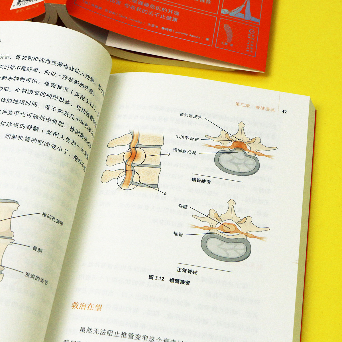 后浪正版现货成分护肤知名美容化学专家资深化妆品配方专家精心打造成分党科学护肤指南书籍-图1