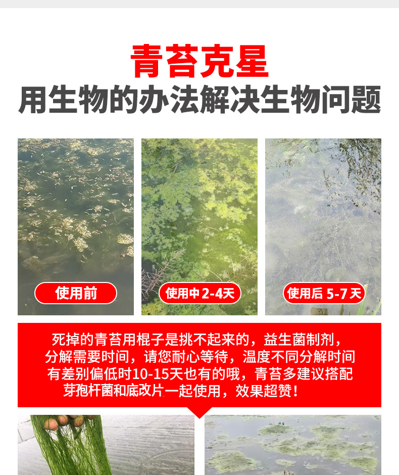 鱼虾塘青苔清除剂速杀青苔池塘去除绿水灭绿藻丝藻净蓝藻青苔克星 - 图2