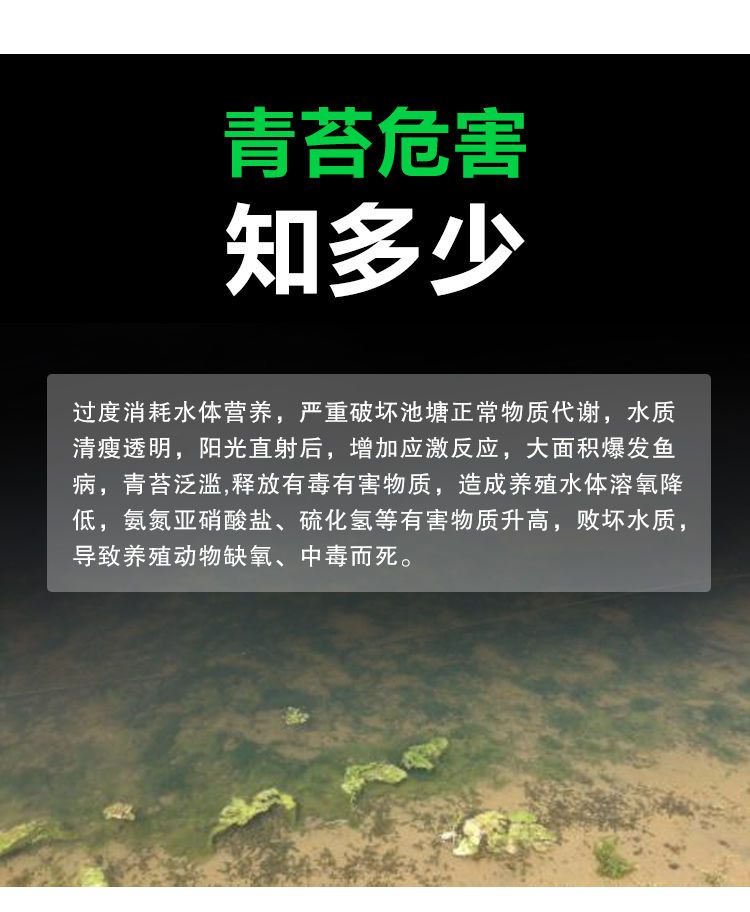 鱼塘速杀青苔灭绿藻池塘水质净化除绿水泥皮青苔克星丝藻净青苔杀-图1