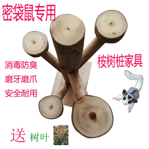 桉树枝跳台宠物 蜜袋鼯解闷攀爬玩具密袋鼠小飞鼠用品豪华桉树桩 - 图3
