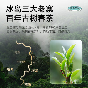 茶马世家冰岛正山小玉饼云南古树生熟普洱小沱茶玲珑饼口粮茶盒装