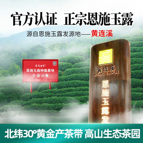 茶马世家恩施玉露特级明前头采春茶2026新茶正宗绿茶茶叶冷泡茶 - 图0