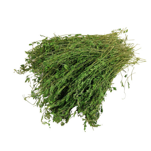 紫花苜蓿草兔粮饲料兔子食用草粮豚鼠龙猫荷兰猪幼兔草干草新牧草 - 图3