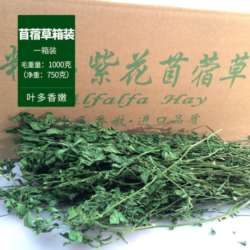 紫花苜蓿草兔粮饲料兔子食用草粮豚鼠龙猫荷兰猪幼兔草干草新牧草 - 图0