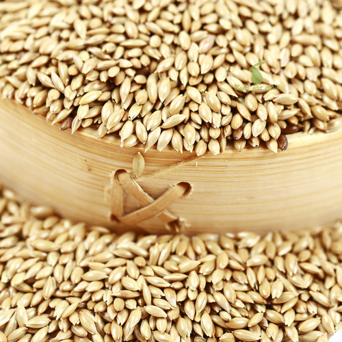 包邮进口加纳利子鹦鹉鸟食油尖粟白尖粟草庐籽金丝雀芙蓉鸟粮饲料 - 图0