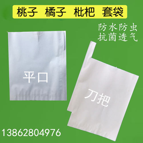 番石榴红美人柑橘杨桃莲雾水蜜桃葡萄柚梨子春见耙耙柑芭乐套袋 - 图2