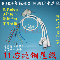 Monitoring camera tail line white black network waterproof 11 core with indicator light RJ45 DC reset key tail line