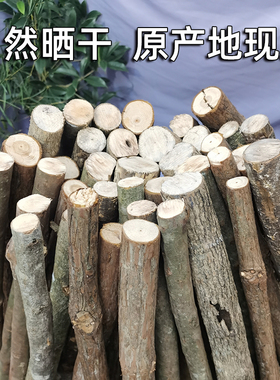 杂木柴篝火户外露营篝火取暖照明