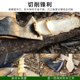 Jungleman 2nd generation outdoor ax camping ax forged camp ax BC hand ax woodworking household mountaineering ax