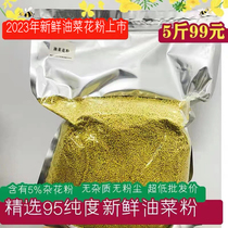 Oil Vegetable Flower Powder 5 Catty Fresh Qinghai Pollen Natural Pure Unbroken Wall Edible 95 Purity Feeding Bee