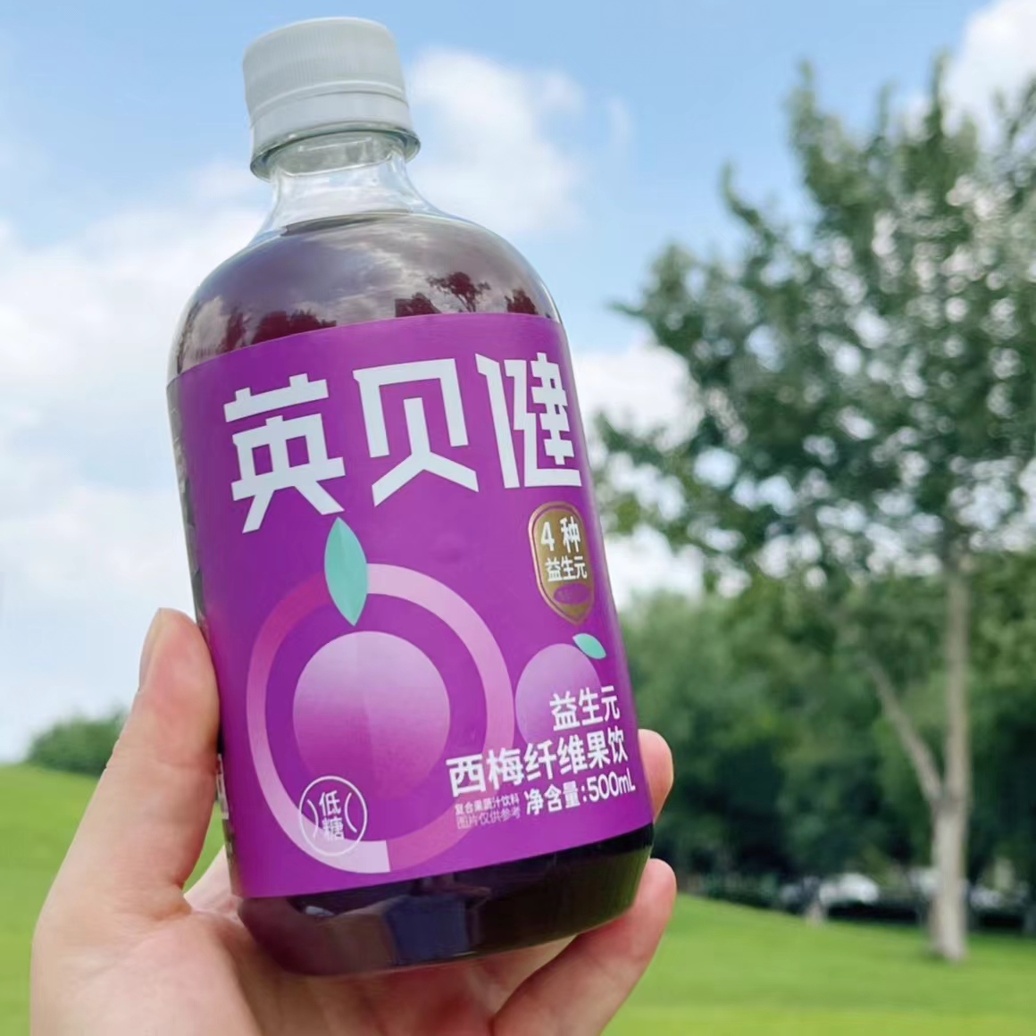 英贝健西梅汁益生元西梅纤维果饮500ml/瓶大餐救星果蔬汁饮料 - 图0