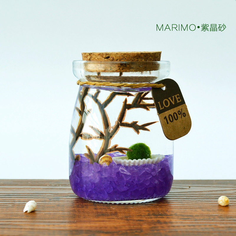 marimo微景观幸福海藻球藻生态瓶迷你桌面盆栽趣味水培植物小礼品,淘宝优惠券,粉丝福利购,淘宝优惠卷