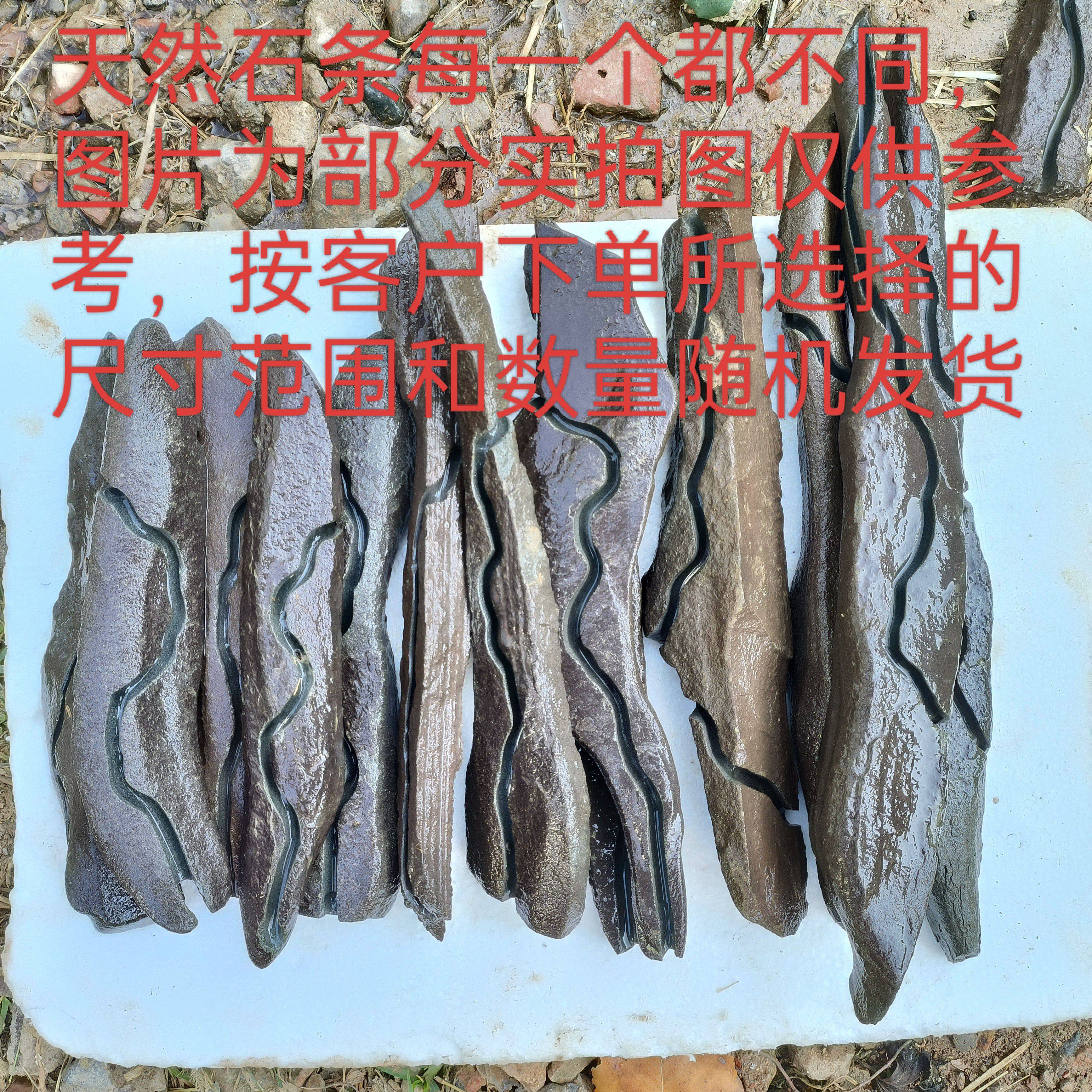 开槽附石新疆泥石铁石条榔榆灵芝榆树老鸦柿金弹子枫树苗附石盆景,淘宝优惠券,粉丝福利购,淘宝优惠卷