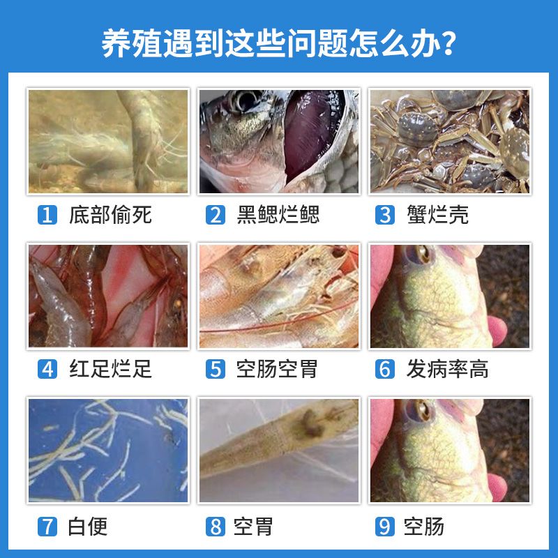 浩洋生物水产养殖生物杀菌消毒噬菌弧菌净冻干粉净化水质-图1