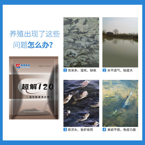 浩洋生物水产养殖用速解安增氧降亚硝酸盐调水净水气泡症防偷死 - 图3