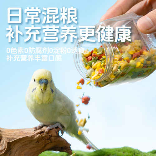宠尚天鹦鹉零食水果蔬菜冻干训练奖励玄凤牡丹虎皮专用鸟食粮食 - 图2