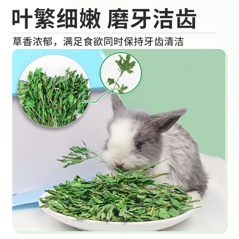 宠尚天新烘干紫花苜蓿草兔子干草料荷兰猪龙猫粮食幼兔饲料兔粮吃 - 图2