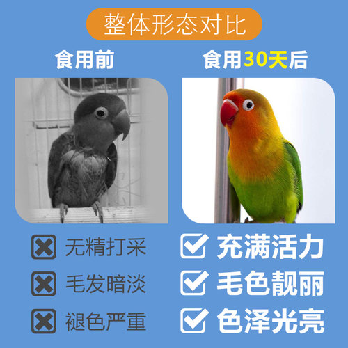 宠尚天鹦鹉滋养丸虎皮牡丹玄凤文鸟美毛靓羽鸟粮鸟食补维生素食物 - 图2