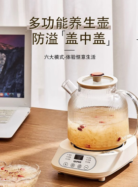 小南瓜养生壶炖煮一体家