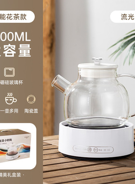 跨境外贸多功能养生壶恒