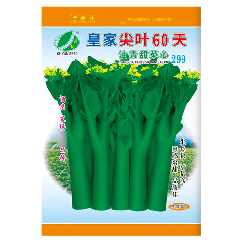 广东菜心种籽皇家尖叶60天油青甜菜心种子油菜籽种菜苔种孑春秋季 - 图3
