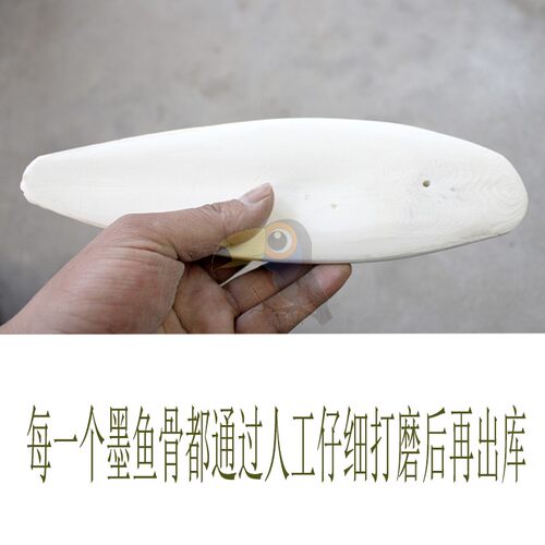 打磨消毒鸟用墨鱼骨/海螵蛸/虎皮鹦鹉墨鱼骨/龟松鼠补钙用品 - 图2