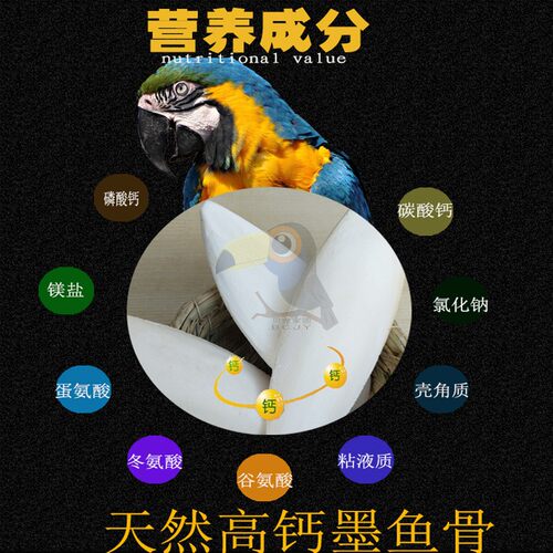 打磨消毒鸟用墨鱼骨/海螵蛸/虎皮鹦鹉墨鱼骨/龟松鼠补钙用品 - 图3