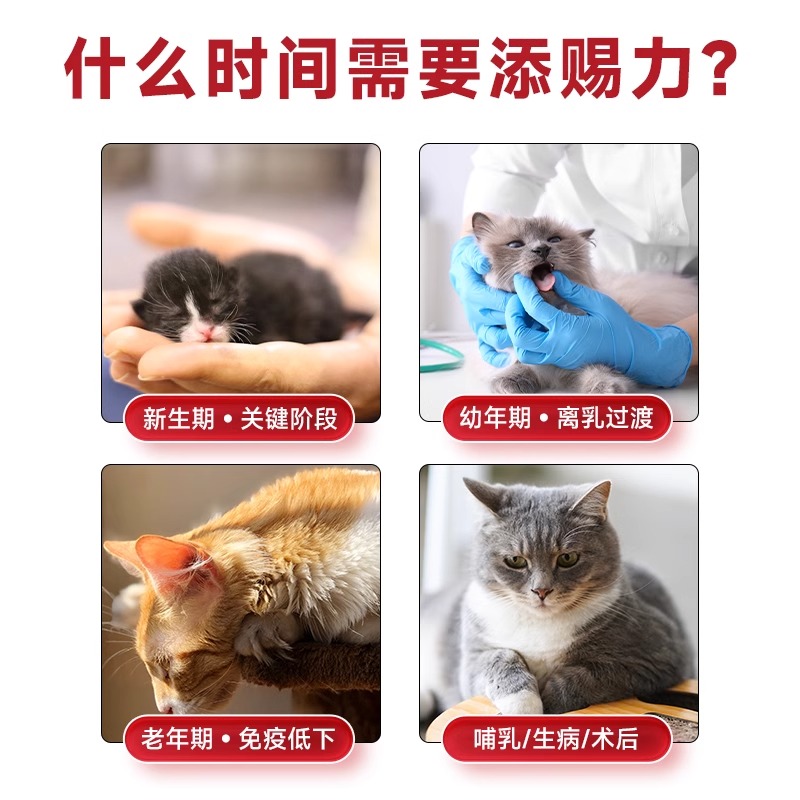 添赐力牛初乳营养膏狗狗猫咪免疫增强幼猫犬乳铁蛋白猫天赐力15ml - 图0