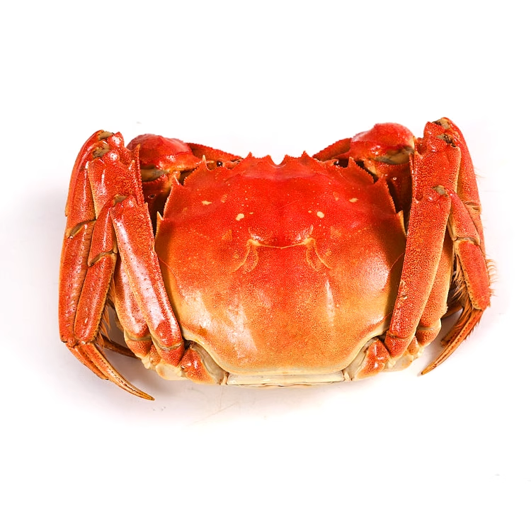 活蟹鲜活小蟹农蟹小吴大只大闸蟹公蟹4.3两母蟹3.3两官方特大礼盒,淘宝优惠券,粉丝福利购,淘宝优惠卷