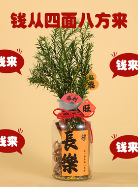 肉桂生财工位香薰摆件发财如意运转香氛diy装饰客厅伴手礼送礼物