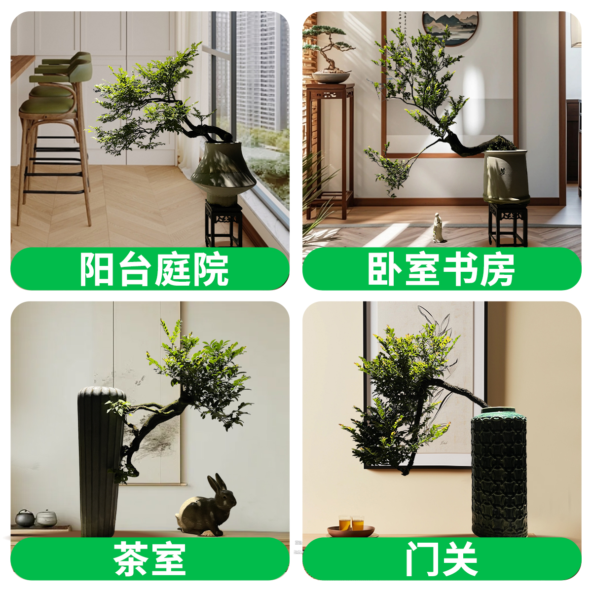小叶紫檀盆景树苗花卉盆栽办公室植物悬崖临水造型精品桌面绿植 - 图3