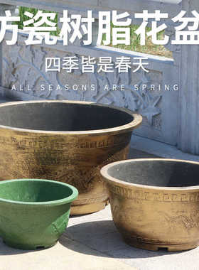 睡莲老式古法户外庭院家里乌龟缸