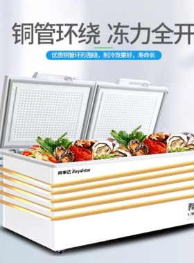 荣事达冰柜商用全冷冻柜家用冷藏两用大容量卧式双温冷柜冰箱
