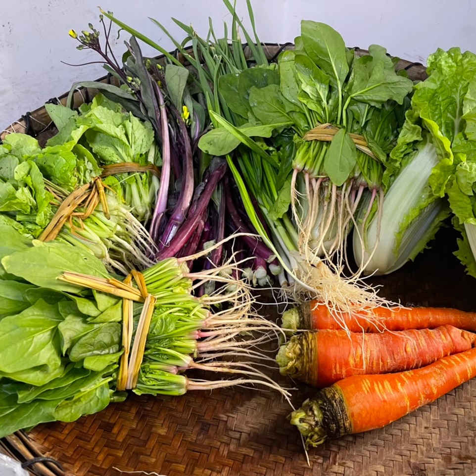 湘西新鲜菜农家自种农家肥 新鲜时令蔬菜 青菜农产品混搭共4斤 - 图0