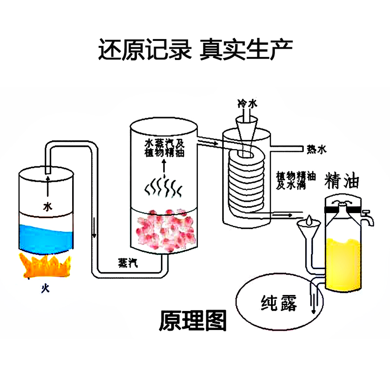 大瓶新疆马迷纯露1000ml去闭口粉刺收缩毛孔马鞭草酮迷迭香-图1