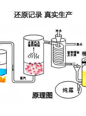 大瓶新疆马迷纯露1000ml去闭口粉刺收缩毛孔马鞭草酮迷迭香
