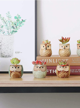 当初欧美出口猫头鹰陶瓷多肉植物花盆窑变流釉家居园艺摆件品质款