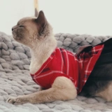 Кошачья одежда Новый год Holly Pet Pet Pet Bohnson Колтяжные колготки Юбка.