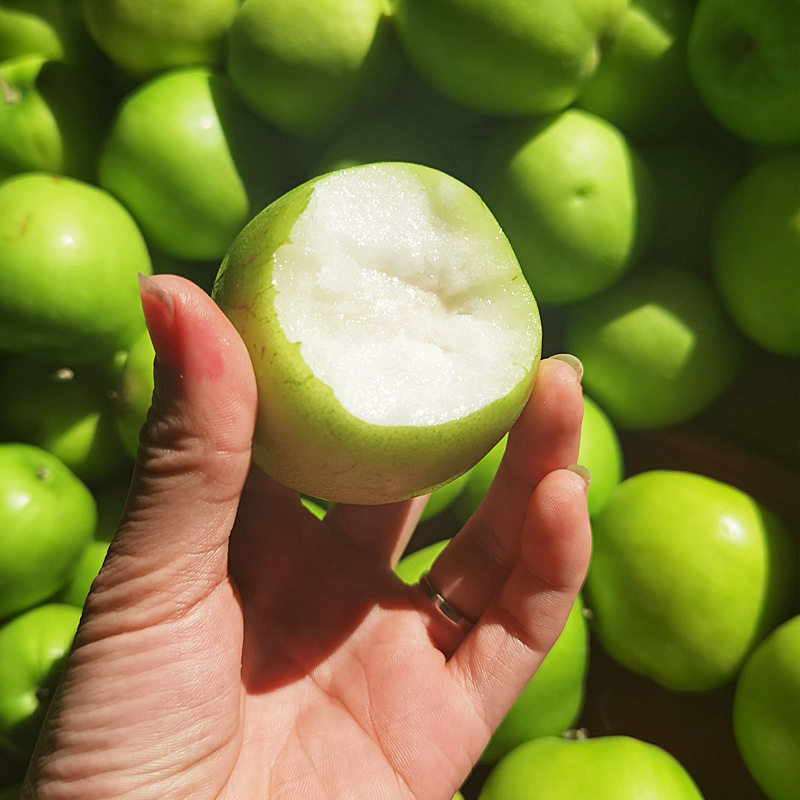 福建大青枣3斤当季脆甜青枣新鲜蜜枣时令水果非牛奶苹果枣,淘宝优惠券,粉丝福利购,淘宝优惠卷