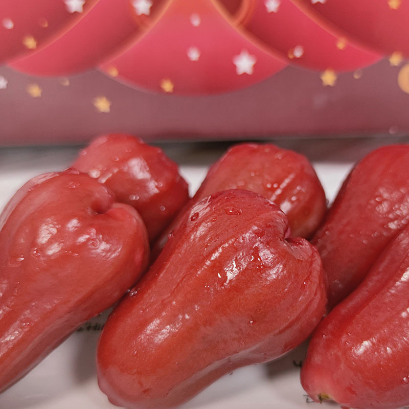 福建黑金刚莲雾产地直发当季水果莲雾包邮新鲜水果莲雾,淘宝优惠券,粉丝福利购,淘宝优惠卷