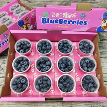 Lefresh Orchard Yunnan Small Sloth Cup Blueberry 12 Cup Portable Cup Loaded Fresh Blueberry Baby Coveting Annual Gift