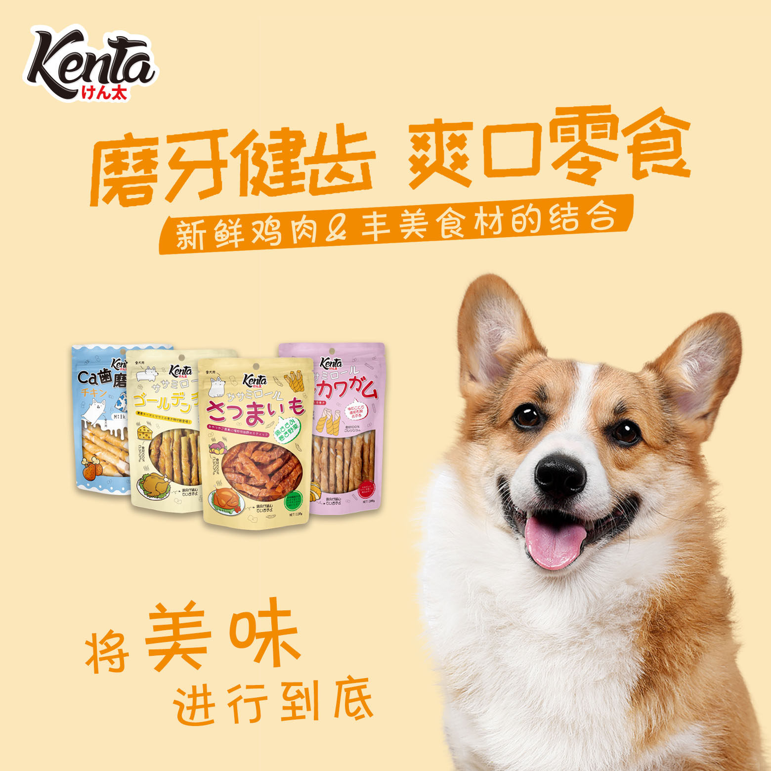 丹特医生犬太鸡胸肉牛皮卷磨牙洁齿棒成幼犬肉干营养奖励狗狗零食,淘宝优惠券,粉丝福利购,淘宝优惠卷