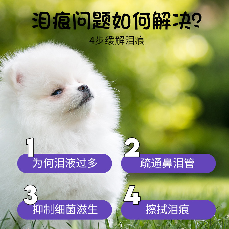 安琪儿泪痕消宠物眼睛滴眼液清洁泪痕泪渍除眼屎狗狗猫咪猫眼药水