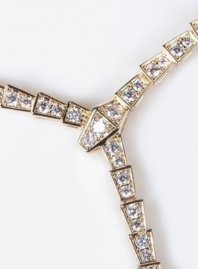 蛇形项链夸张轻奢锁骨链时尚百搭高级感蛇项圈配饰气质女