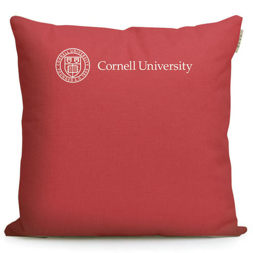 康奈尔大学美国Cornell University周边纪念品定制校徽礼品抱枕 - 图1