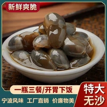 6A large clay snails with extra-large sand-free mud snails with fresh mud snail yellow clay snail Ningbo seafood special-production ready-to-eat